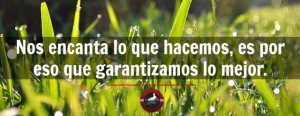 comercializadores de carne de conejo bogota colombia frase
