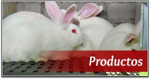 productos cárnicos pieles y cría de cunicultura colombia