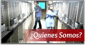 Quienes Somos Carne de Conejo Bogota